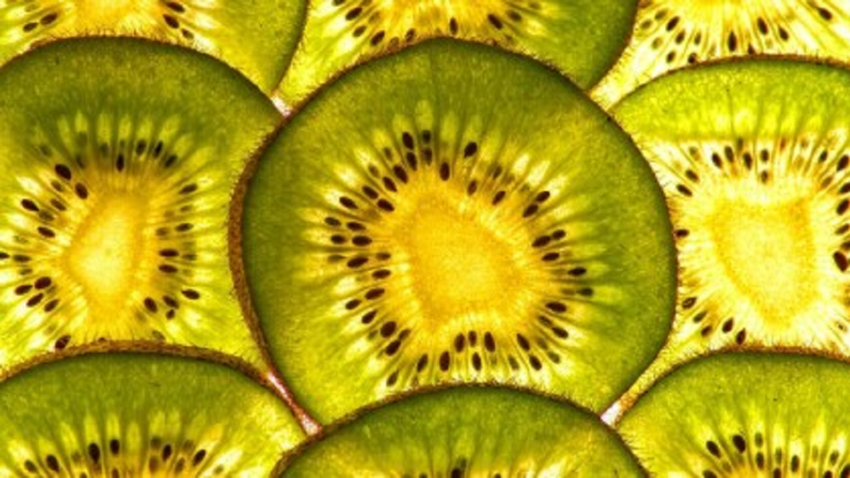 bion kiwi.png